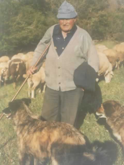 Família Astasia - Casa Astasia